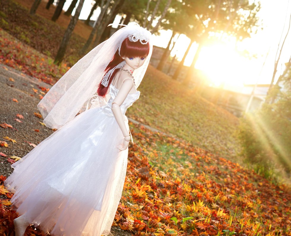 늦가을 단풍 웨딩 드레스_4.jpg