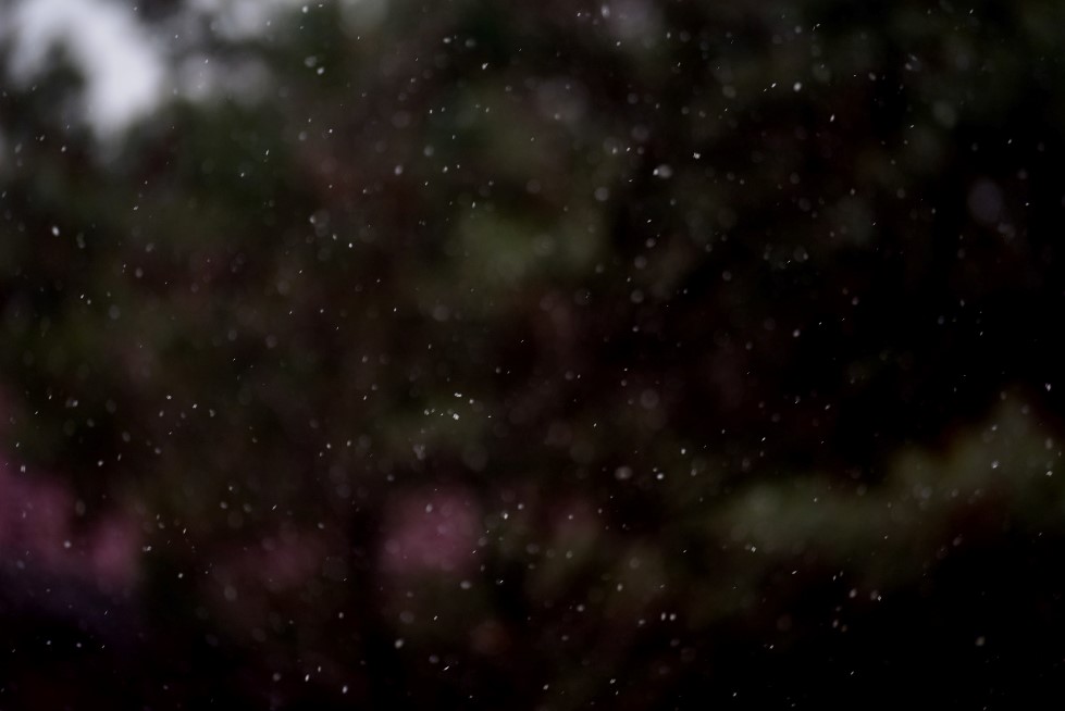 올해의 첫눈 그리고 출사_1.jpg