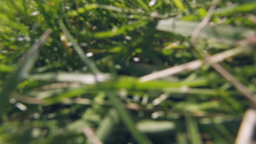 전직의 중요성(스압)_19.jpg