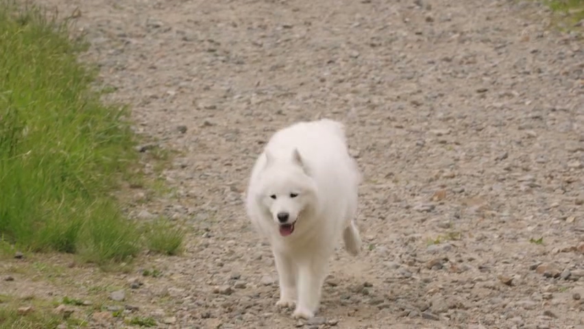 전직의 중요성(스압)_24.jpg