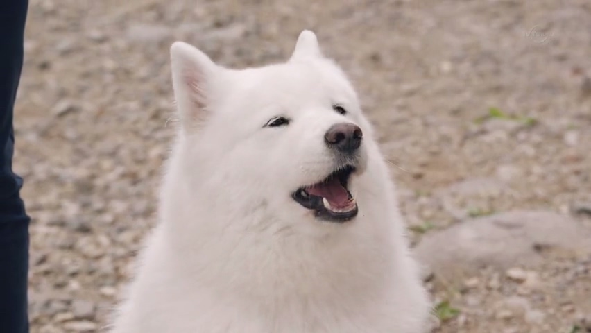 전직의 중요성(스압)_30.jpg