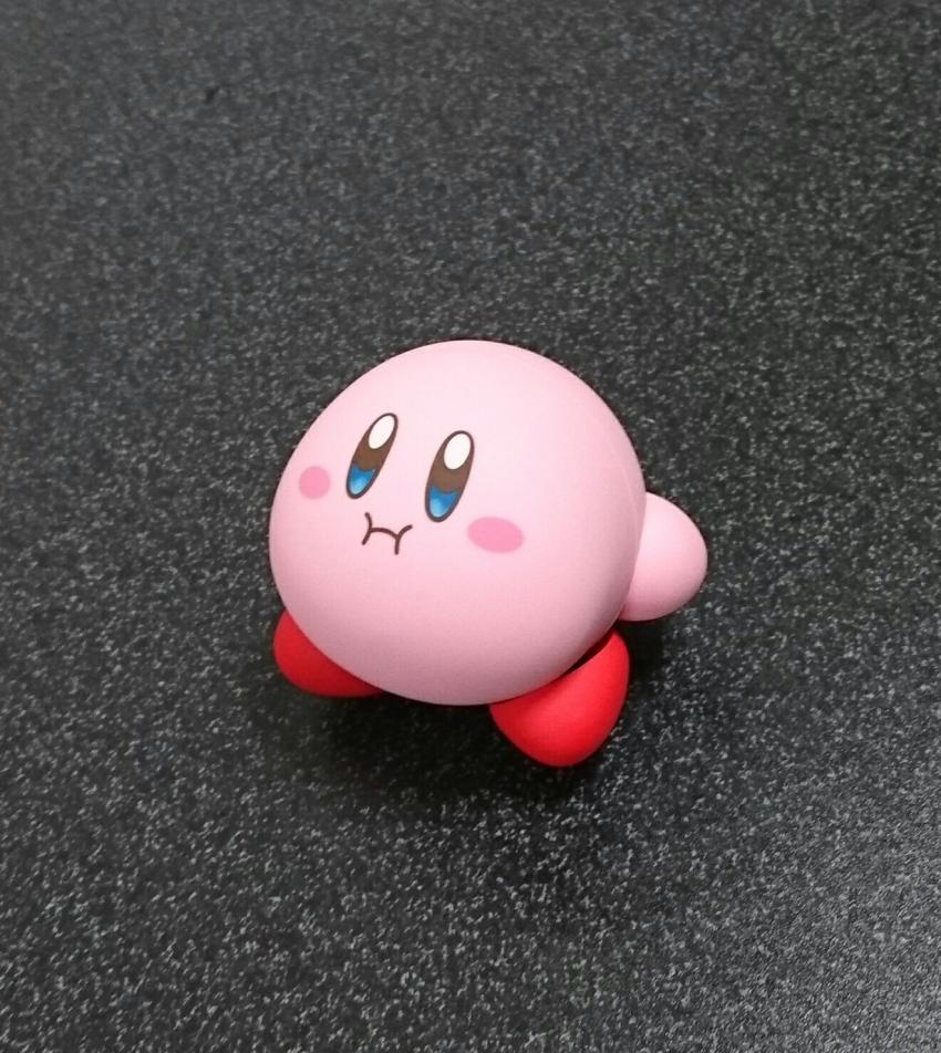 익스트림 커비 3.JPG