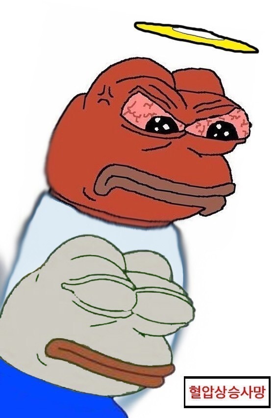 개구리짤 모음.gif_15.jpg