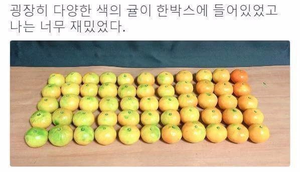흔한 미대생의 놀이.jpg_1.jpg