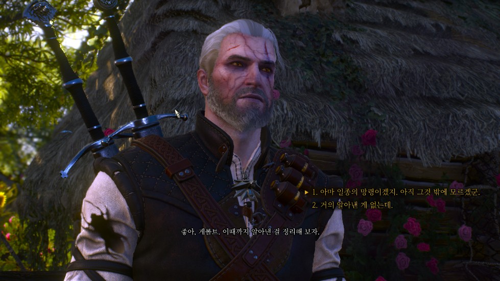 The Witcher 3 2016.12.10 - 15.28.37.08.png