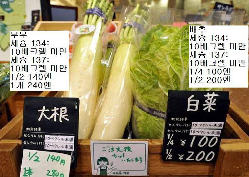 일본 청과류 가게 현황.jpg_5.jpg