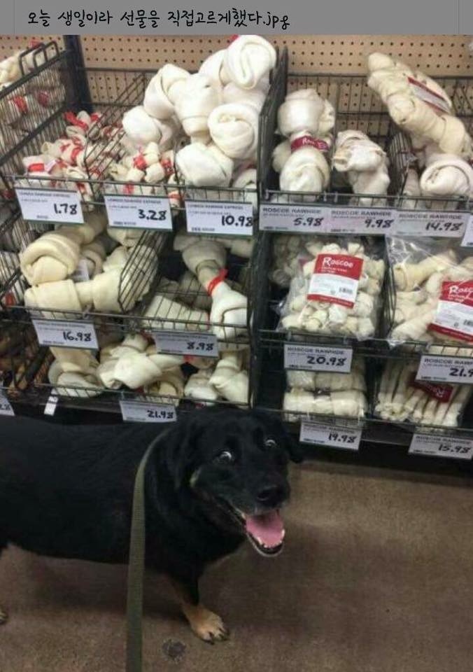 와~여기가 천국인가?_1.jpg