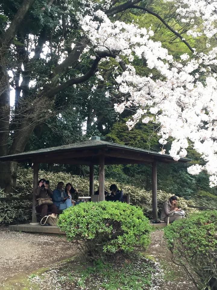[브금,스압] 영화'너의 이름은'과 우리 학교의 접점, 스탬프렐리_8.jpg