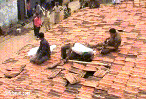 지붕밑에 고양이가 들어같거같아_1.jpg