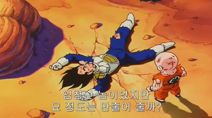 [드래곤볼] 네놈들의 묘 말이냐?!_47.jpg
