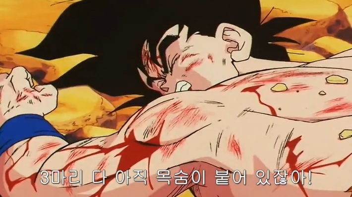 [드래곤볼] 네놈들의 묘 말이냐?!_84.jpg