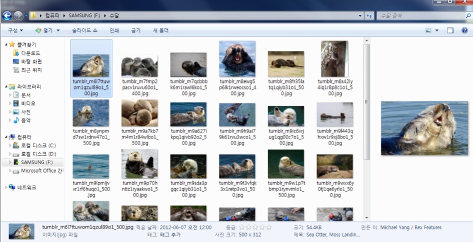 외장하드에서 [수달] 폴더를 열어 보았다._1.png