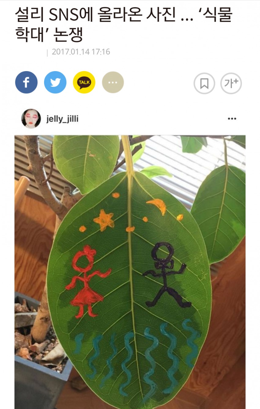 설리 식물학대 논란.jpg_1.png