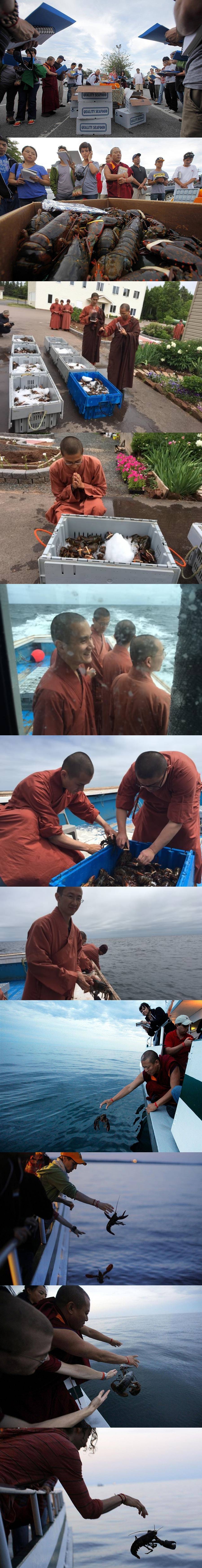 스님들이 랍스터 경매장에 나타난 이유.jpg_1.jpg