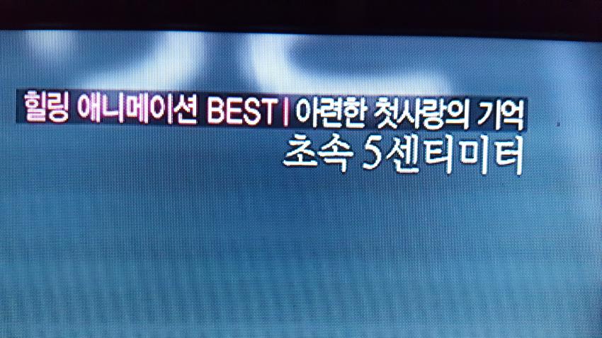 현 시각 tv 영화 채널 현황...._1.jpg