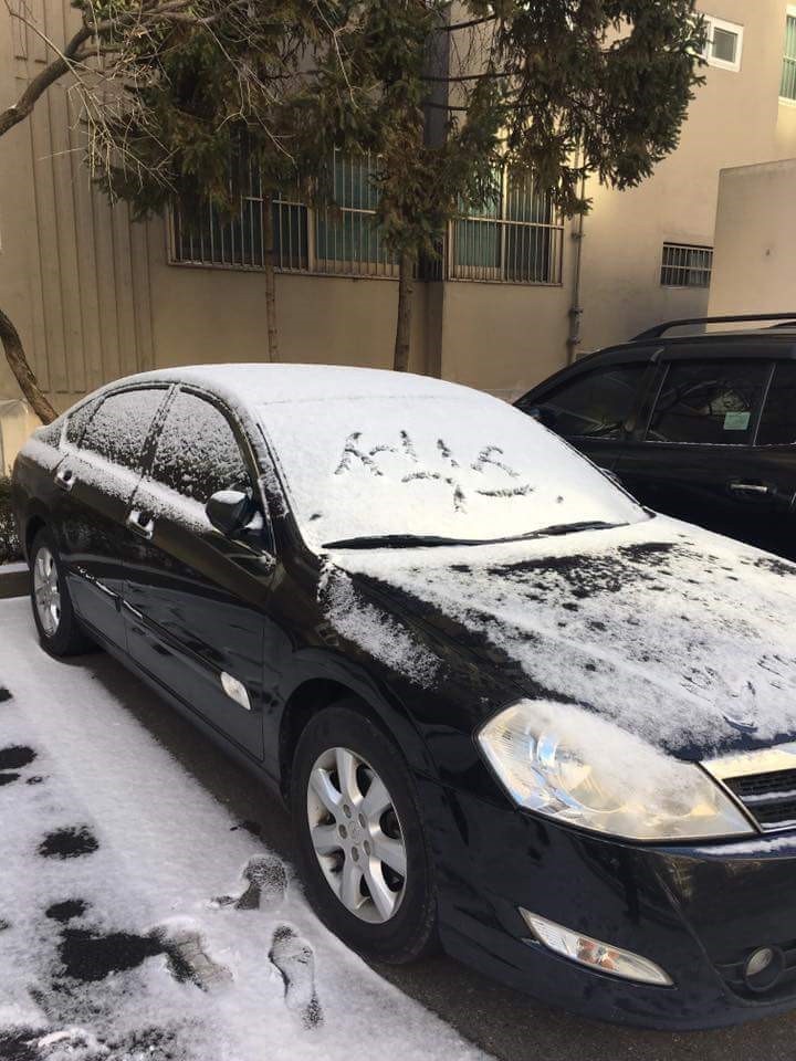 섹무새가 머문 자리.jpg_1.jpg