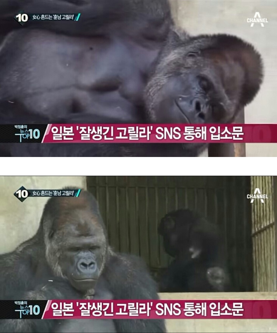 일본의 여심을 흔드는_3.jpg