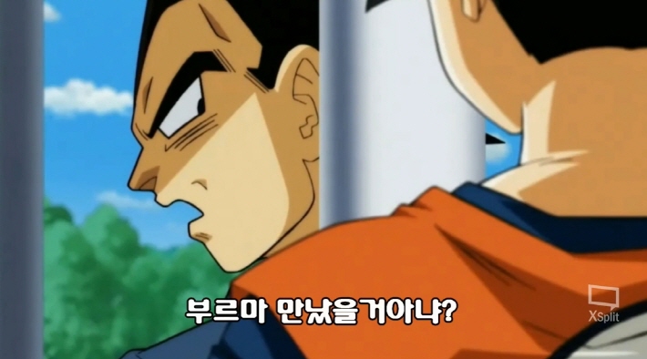 [드래곤볼 슈퍼] 네가 낳는거도 아니니 같이 싸우자!_2.jpg