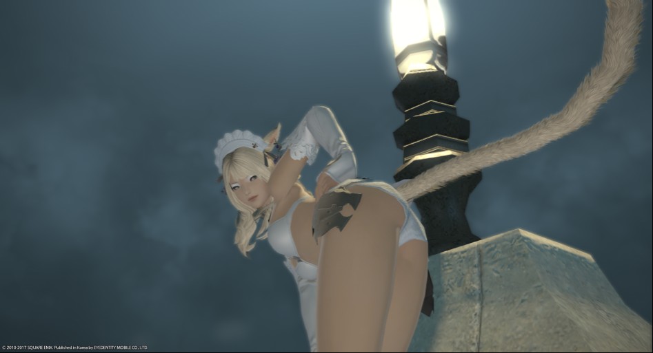 ffxiv_20170207_063610.png