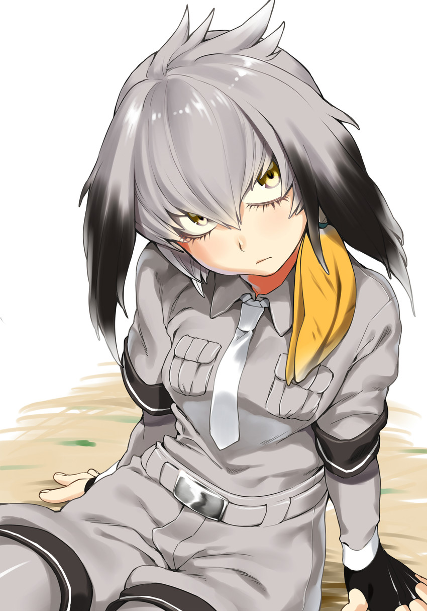 케모노프렌즈)스압) 삼백안의 매력에 대해서 araboza_28.jpg