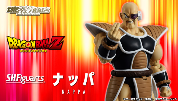 bnr_shf_nappa_600x341.jpg