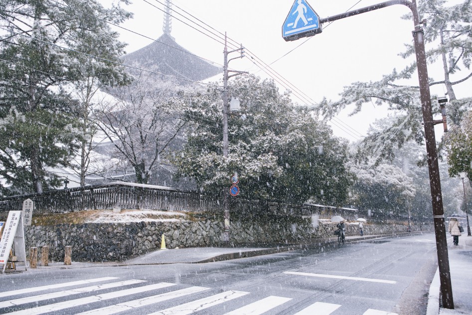 보름간의 일본 사진 15장_1.jpg