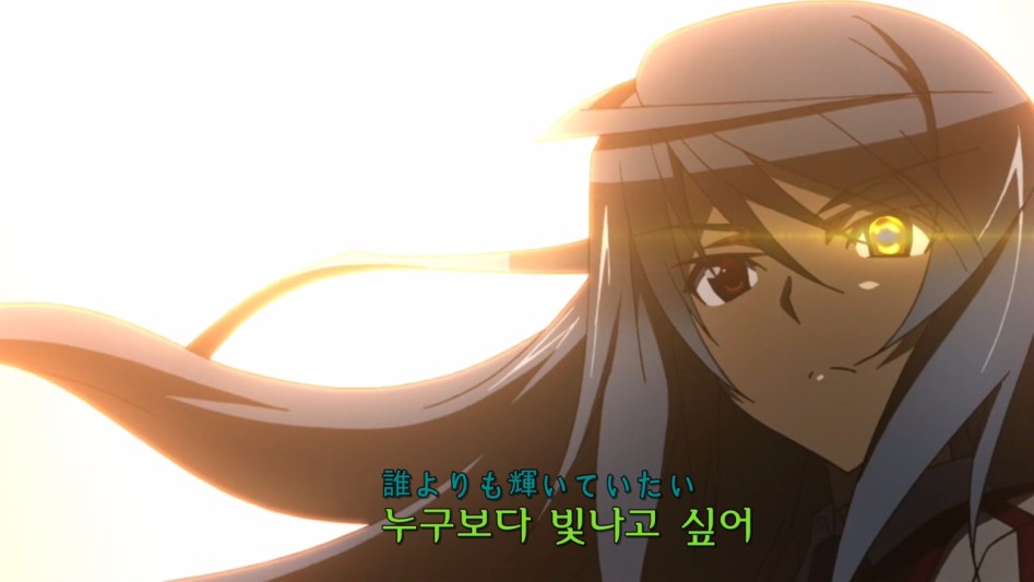 IS 인피니트 스트라토스_10.jpg