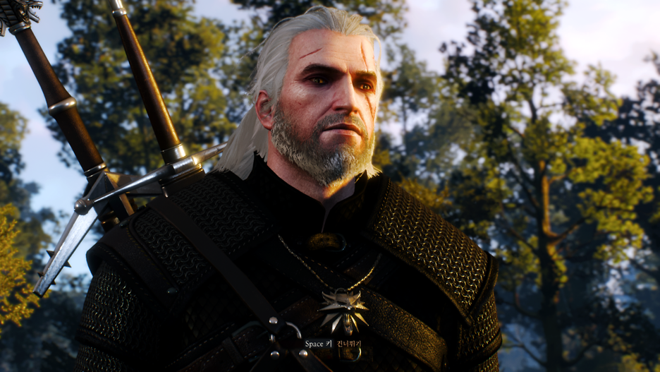 witcher3_2016-06-22_04-28-33-994.png