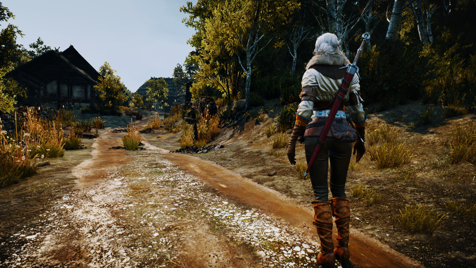 witcher3_2016-06-24_10-23-41-531.png