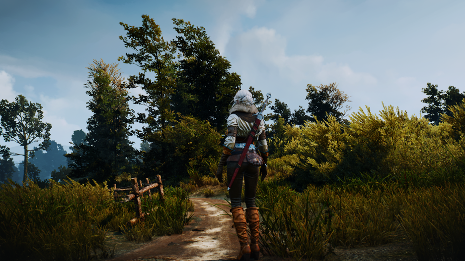 witcher3_2016-06-24_10-27-52-303.png