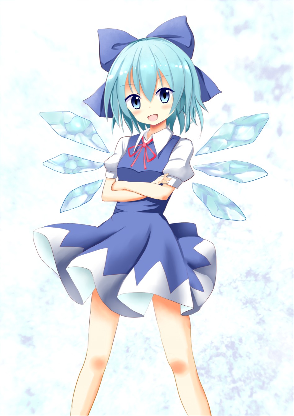 cirno (touhou) drawn by akakabu (obsidian910) - 5fe55c85d7e249df1cab15cf66147de0.png