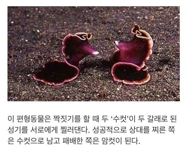 만약 사람이 이런 경우라면.png