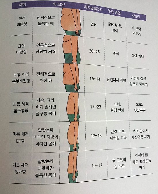 당신의 뱃살 유형.jpg