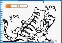 익스트림 캐치마인드 jpg_10.jpg