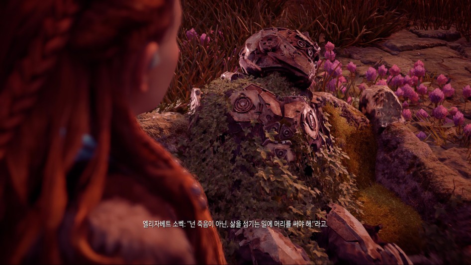 Horizon Zero Dawn™_20170329225517.png