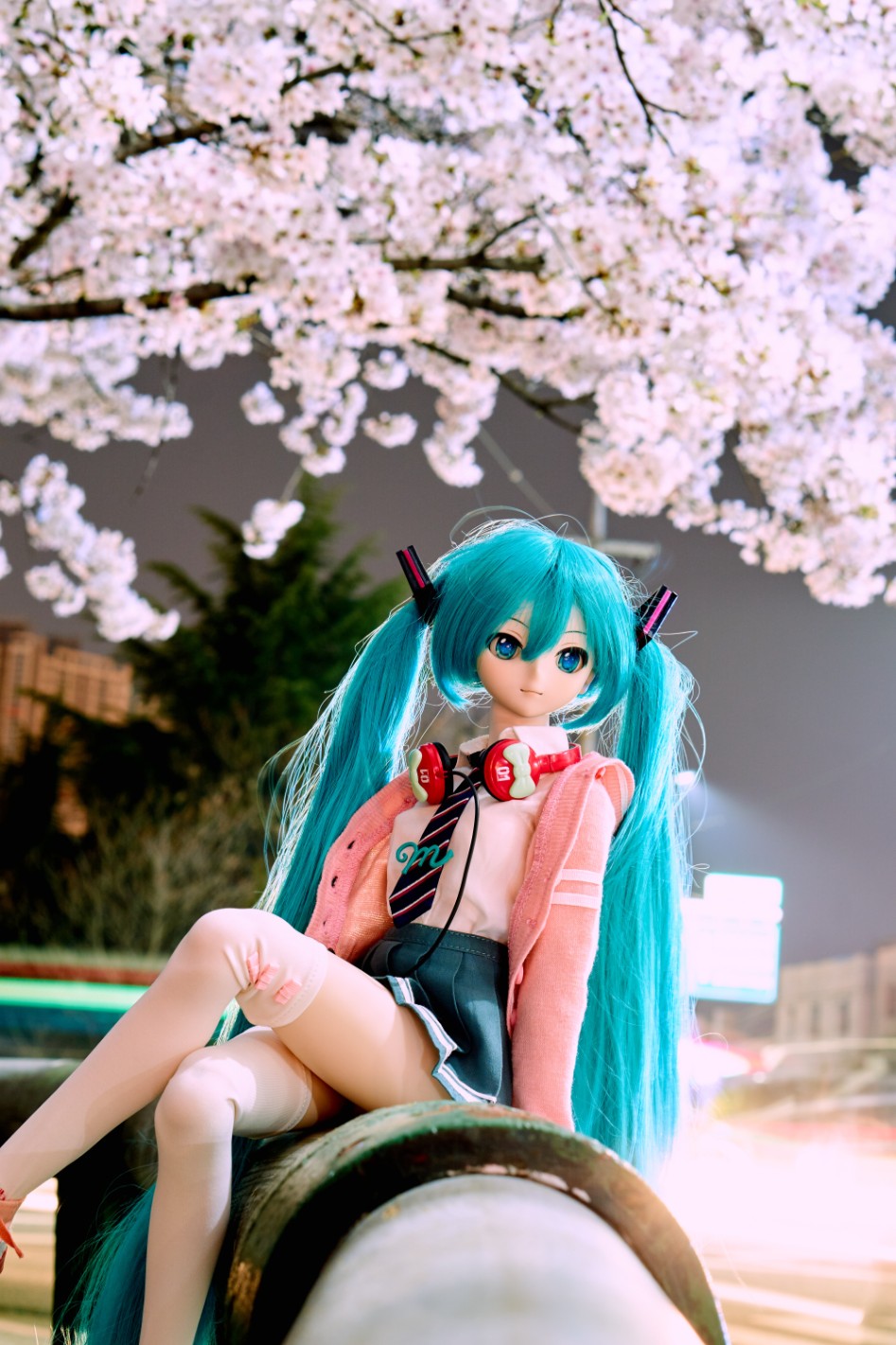 미쿠와 벚꽃 출사_15.jpg