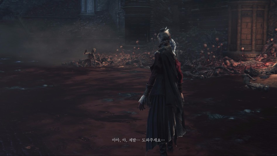 Bloodborne™ The Old Hunters Edition_20170212201557.jpg