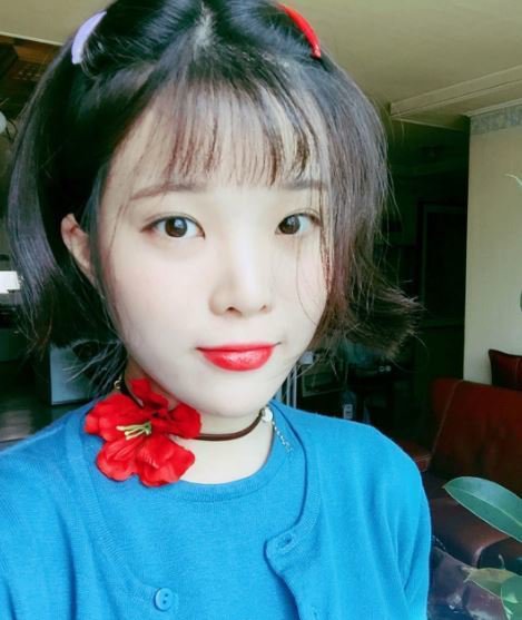 아이유 닮은 사진 작가.PNG_2.jpg