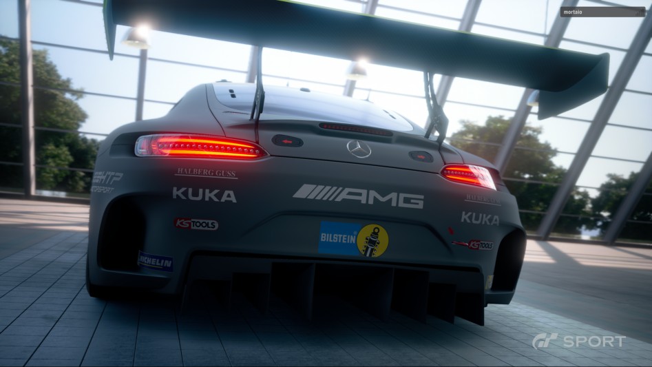 Gran Turismo Sport Beta - GIF,실기샷(용량주의)_3.png