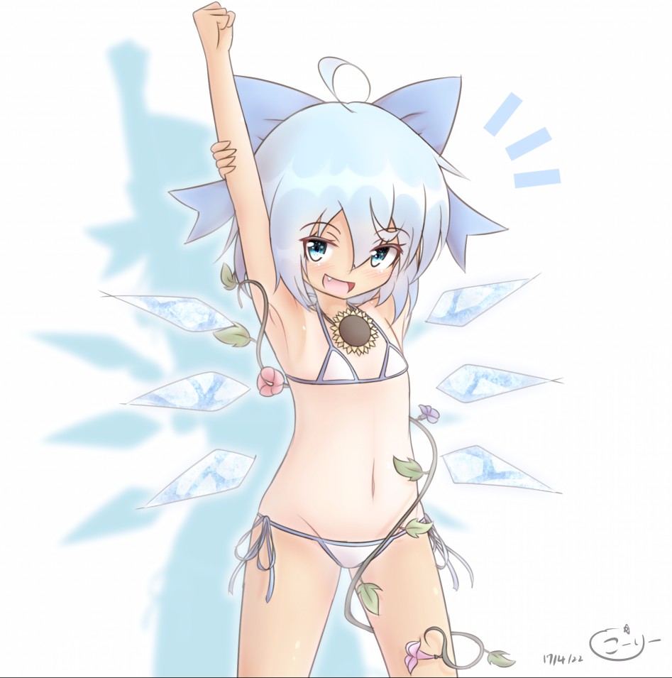 cirno (hidden star in four seasons and touhou) drawn by coreytaiyo - 2592aefb529723d8bfd5dca027aa6e7f.jpg