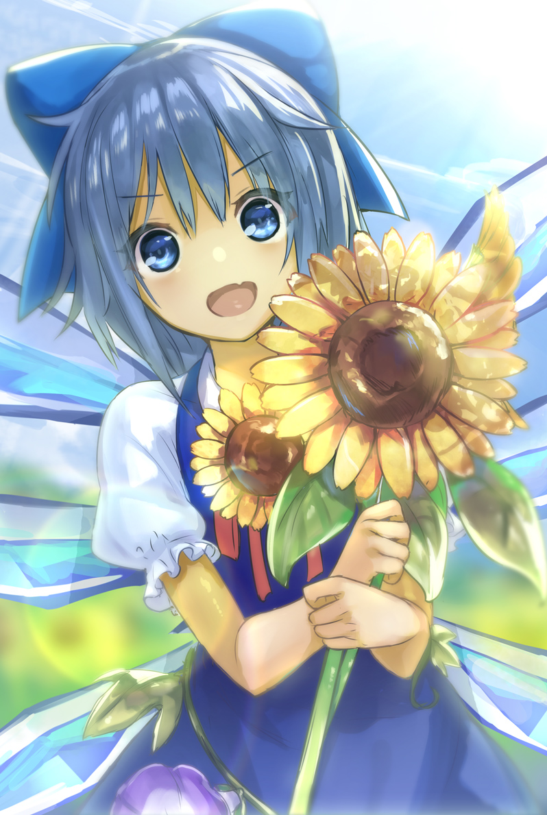 cirno (hidden star in four seasons and touhou) drawn by minutachi - 6cb53a3a880e23ece7f2bd5c237a286d.jpg