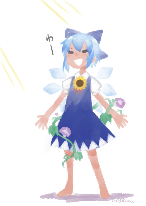 cirno (hidden star in four seasons and touhou) drawn by mogamiya honu - 8e0ebd1f7d40e58848be9f082fcfbdc2.jpg