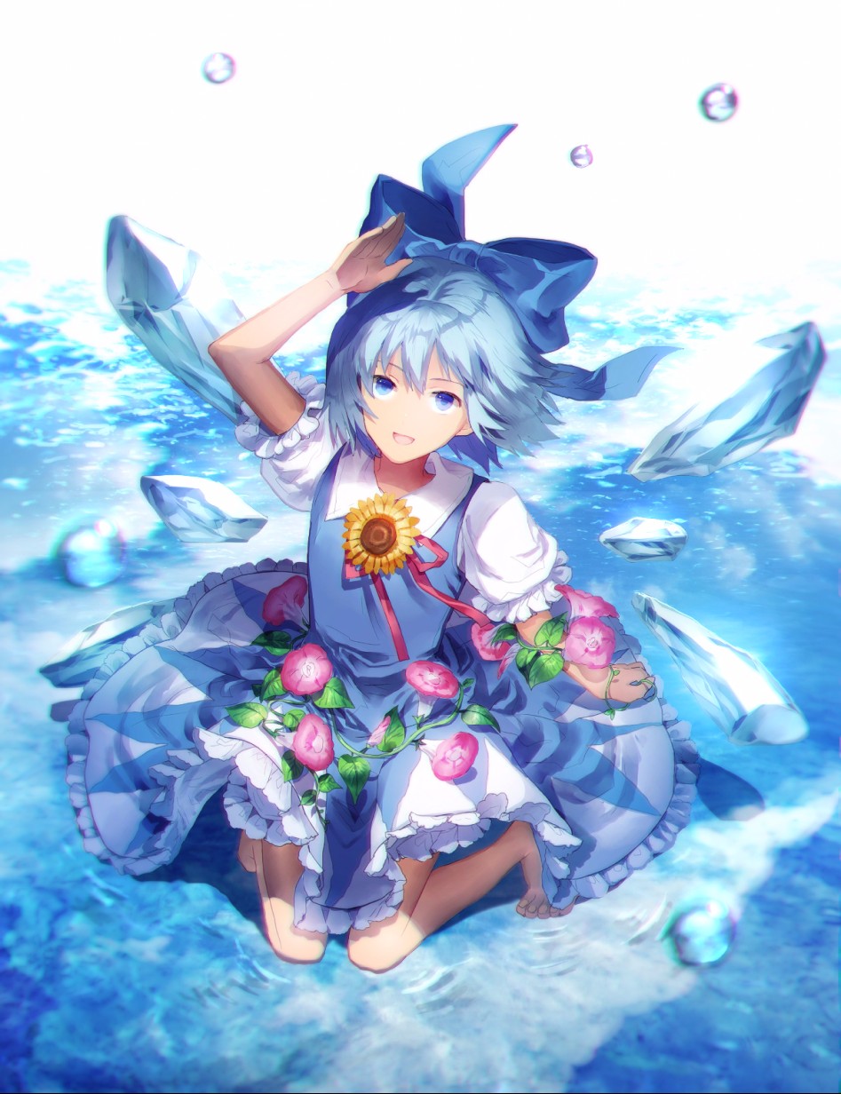 cirno (hidden star in four seasons and touhou) drawn by sunakumo - c01d7ee04ec6315b3d4a17f01765a517.jpg