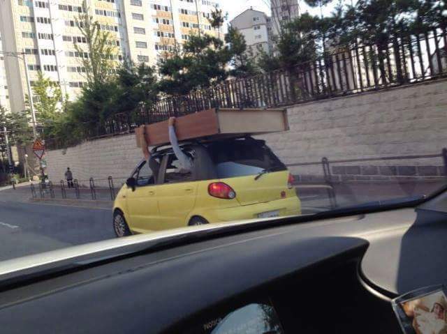 한국의 패트와 매트.jpg_1.jpg