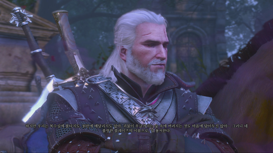 witcher3_137.jpg