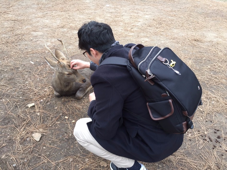 연말연초에 또 애인보러 간뒷북 일본여행이야기 스압 일본설날-오사카-나라 PART3_34.jpg