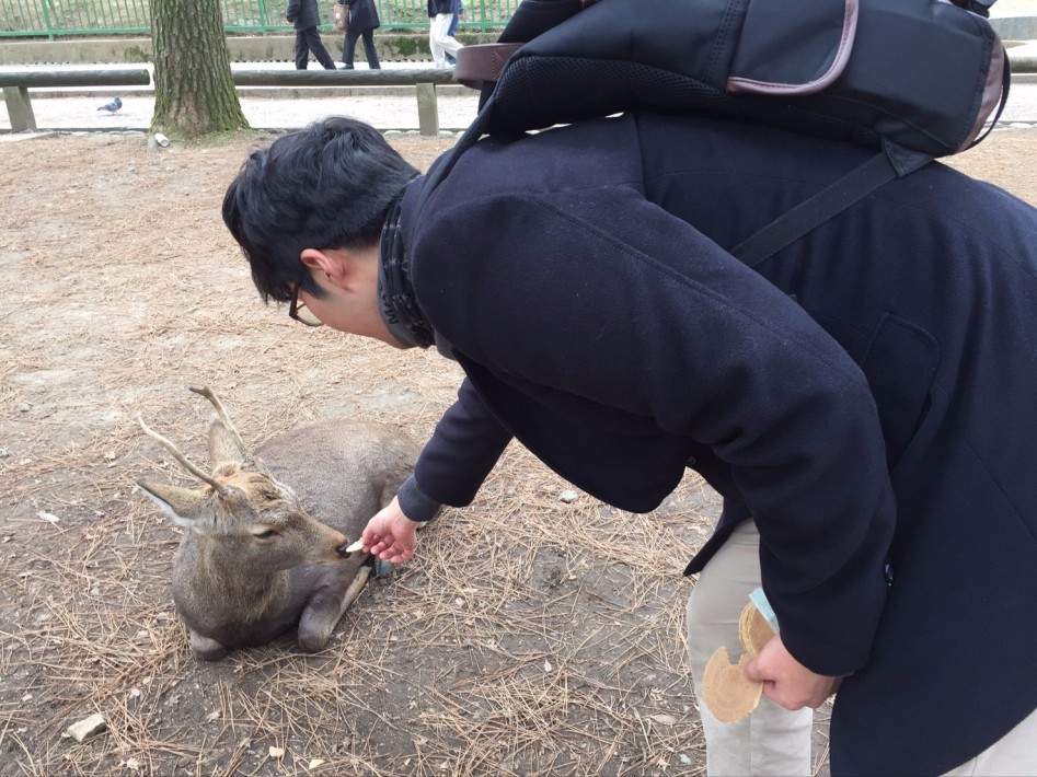 연말연초에 또 애인보러 간뒷북 일본여행이야기 스압 일본설날-오사카-나라 PART3_33.jpg