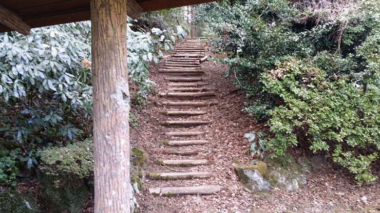 [스압]벨티네의 고독한 미식가 순례기 6. 카나가와현 하코네마치 이로리야_19.jpg