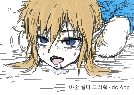 젤다 야숨에서 야숨의 뜻이_1.png