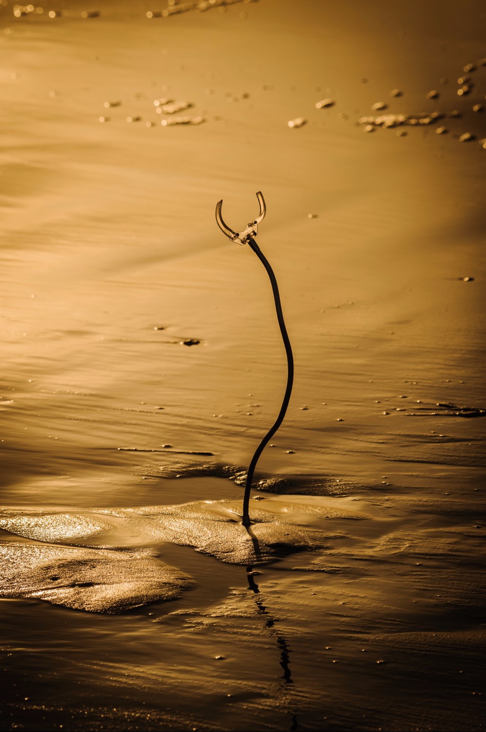 다대포 침공_14.jpg